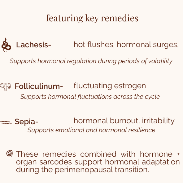 Hormone Support- Perimenopause